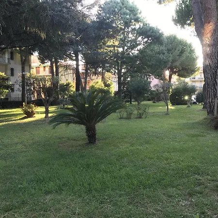 I Pini Marittimi By World *